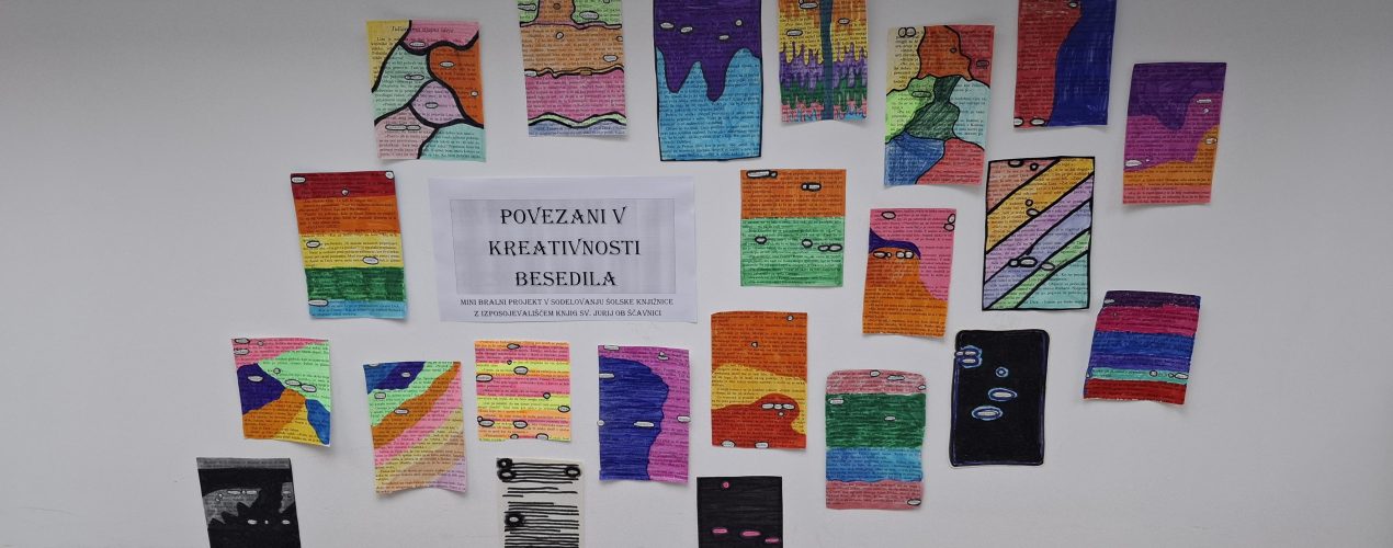 izdelki projekta